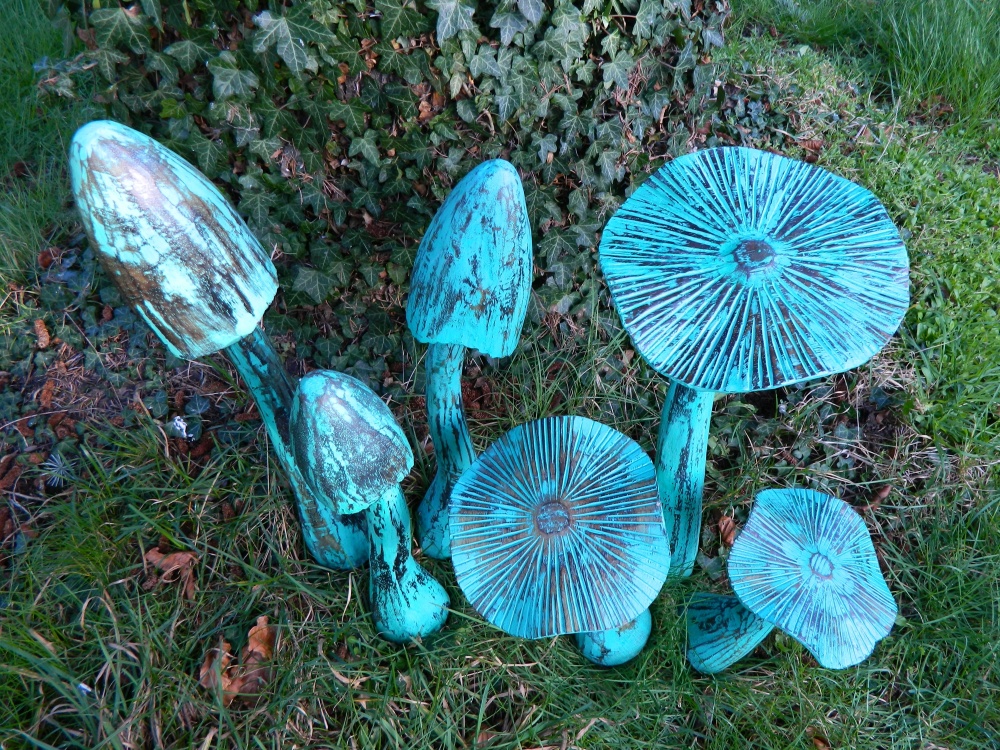 Wooden Mushrooms - Set of 6 Large Closed Cup and Flat